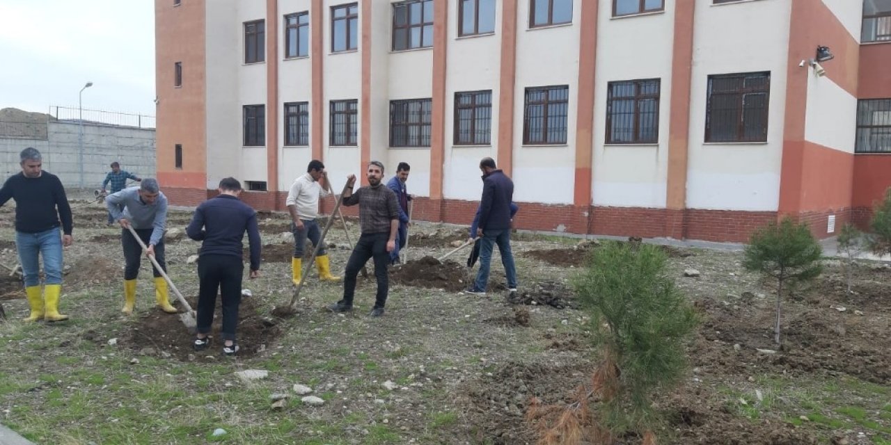 Kulp’ta İ̇mam Hatip Lisesi Bahçesine 150 Adet Dut Fidanı Dikildi