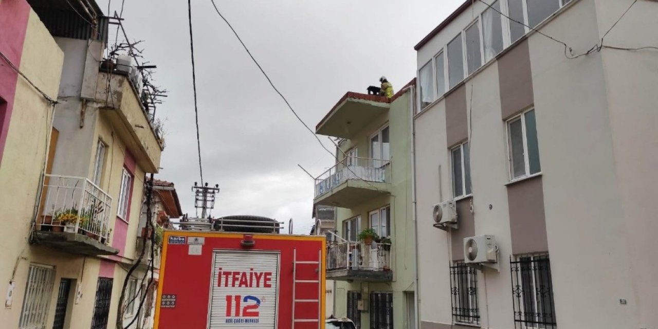 Burhaniye’de Baca Yangını Korkuya Neden Oldu