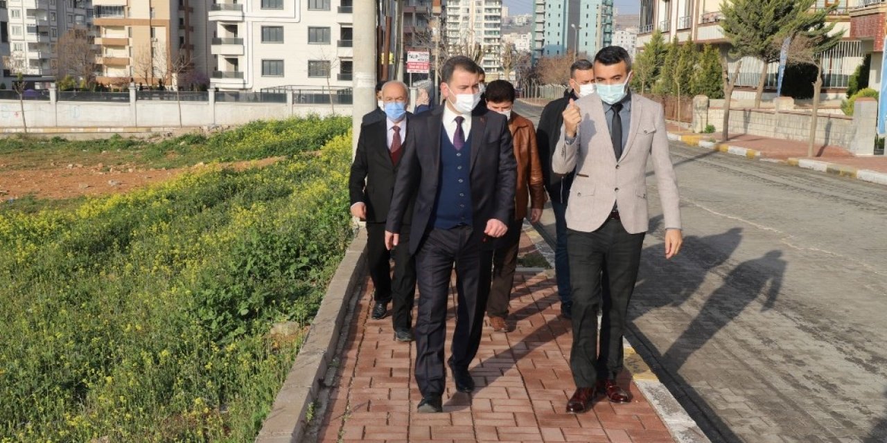 Baydilli, Mesaiye Saha Gezisiyle Başladı