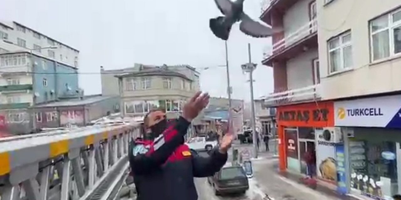 Ağaçta Asılı Kalan Güvercini İtfaiyeciler Kurtardı