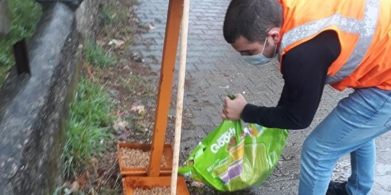 Belediye’den Hayvan Koruma Görevlisi Eğitimi