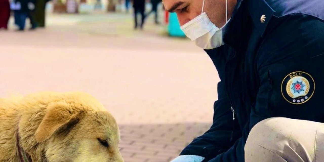 Polisler Sokak Hayvanlarını Elleriyle Besledi
