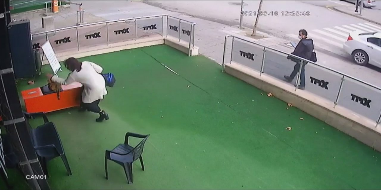 Başkent’te Bir Kadın Hamile Kediye Önce Vurdu Sonra Da Elindeki Çantayı Fırlattı