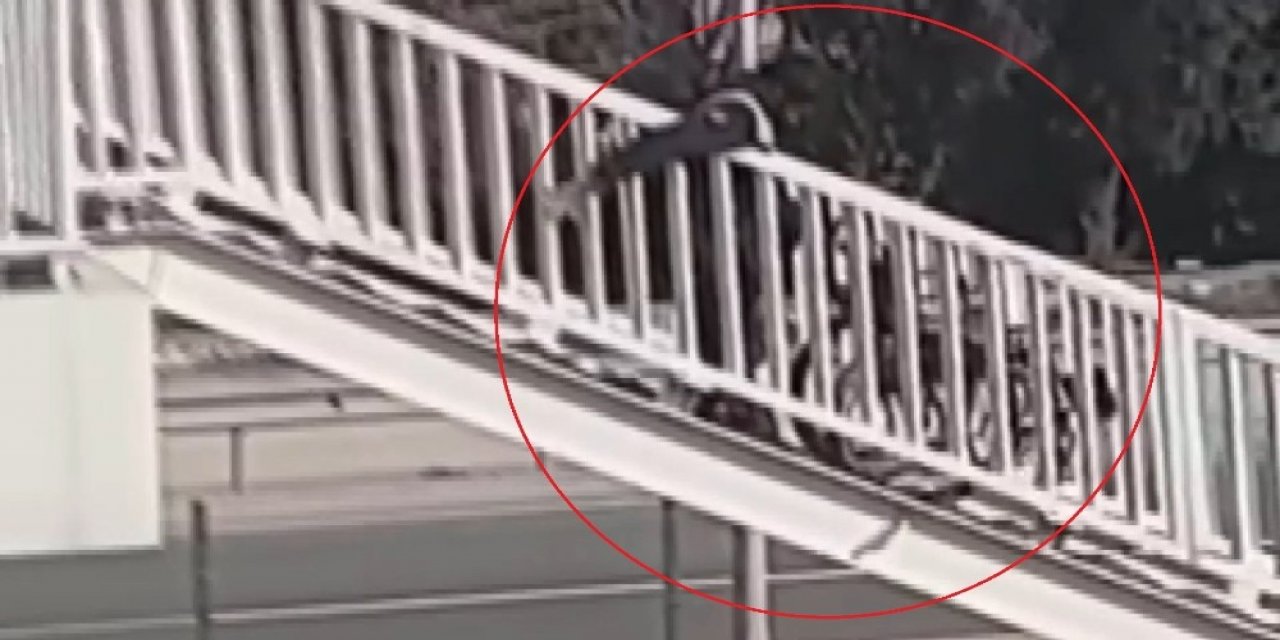 Engelli Vatandaşa İşkence Gibi Uygulama Kamerada...