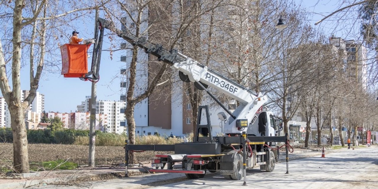 Büyükşehir Belediyesi, Ağaçlara Bahar Bakımı Yapıyor