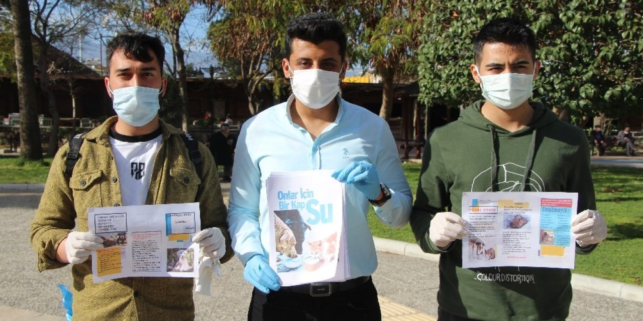 Üniversitelilerden Sokak Hayvanları İçin Örnek Davranış