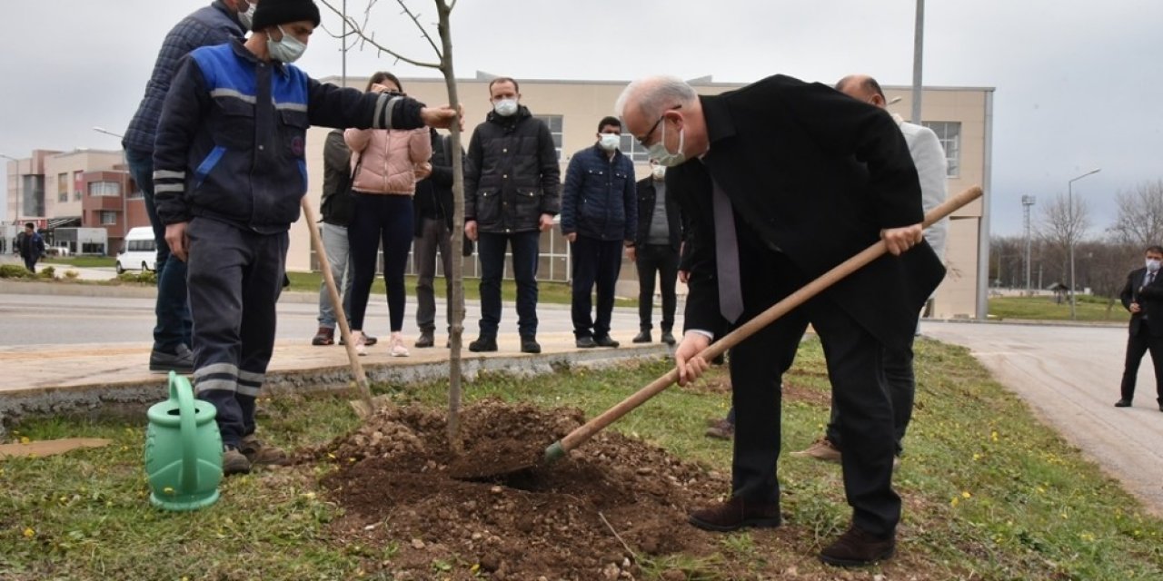 Kurupelit Yerleşkesi Ihlamurlarla Daha Da Yeşillenecek