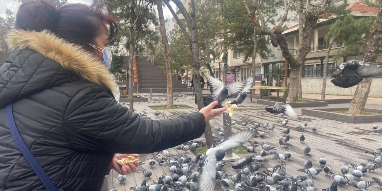 Hayvan Sevgisi Bu Olsa Gerek