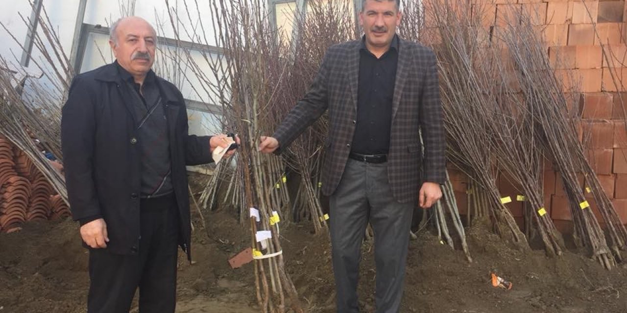 Akdağmadeni’nde Meyve Fidanı Ve Tohum Satışına Başlandı