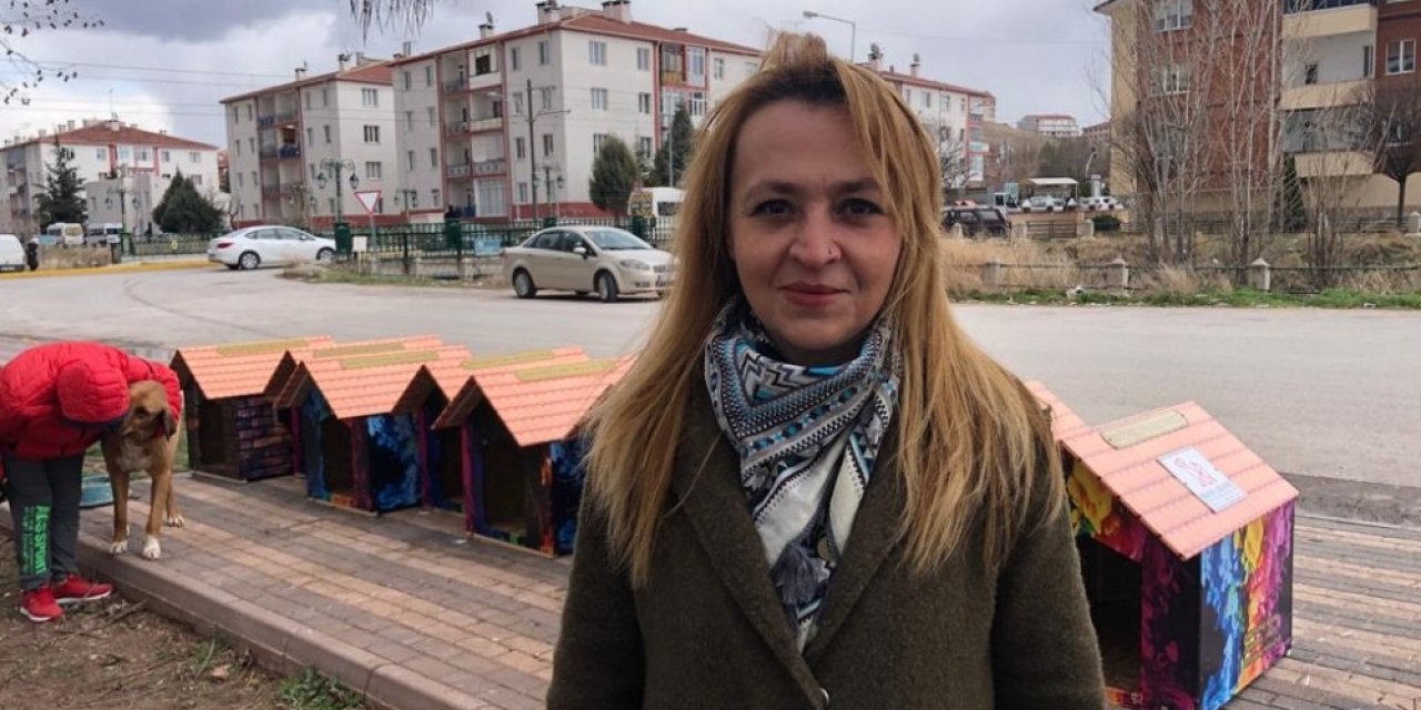 Nasreddin Hoca Parkı’na Sokak Hayvanları İçin Yeni Kulübeler Yerleştirildi