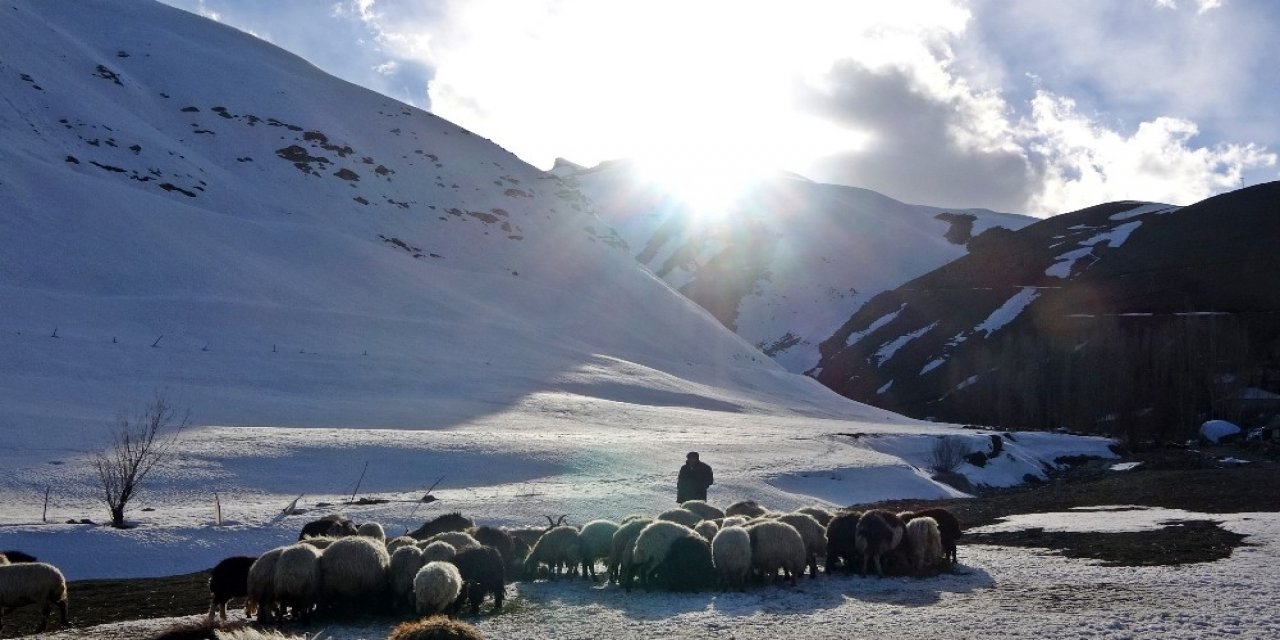 Yüksekova’da Besicilerin Kış Mesaisi Devam Ediyor