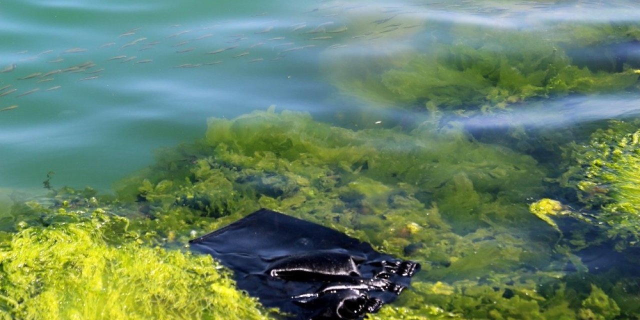 Her Yıl Denizlere 8 Milyon Tondan Fazla Plastik Atılıyor