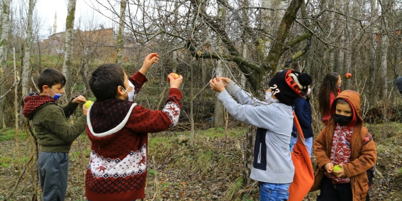 Minik Öğrencilerin Elmaları Kuşlara Hayat Oluyor