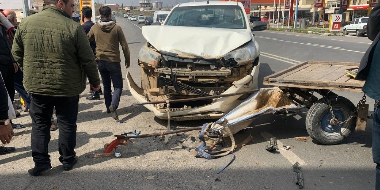 Şanlıurfa’da Kamyonet At Arabasıyla Çarpıştı: 1 Yaralı