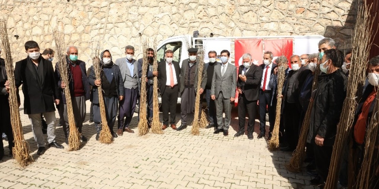 Ergani Ve Çermik’te 120 Çiftçiye 3 Bin Adet Dut Fidanı Dağıtıldı