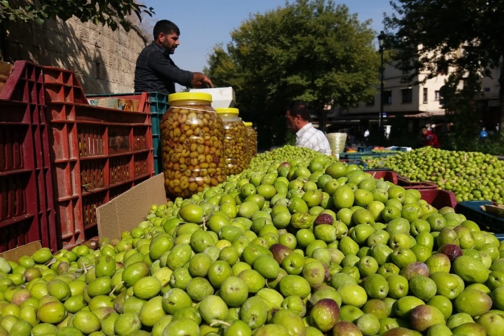 Yağmurun ardından tezgahlar zeytin doldu