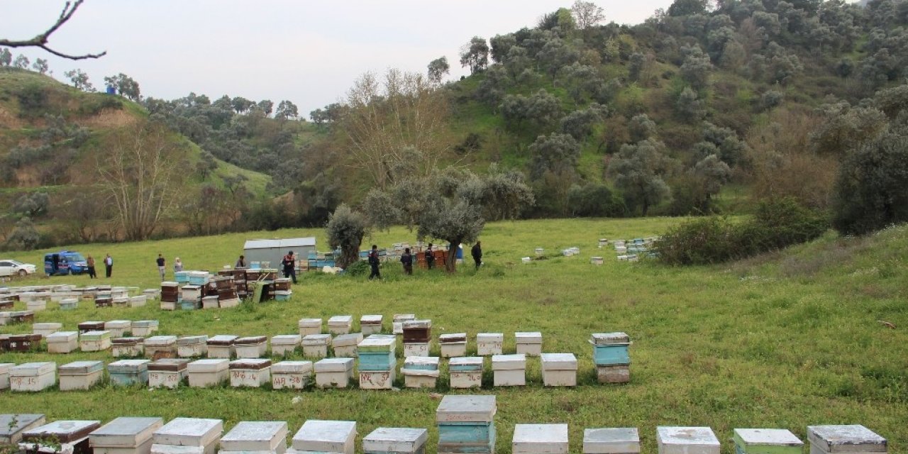 Hırsızlar Arı Kovanlarına Dadandı, Arıcılar Birliği Uyardı