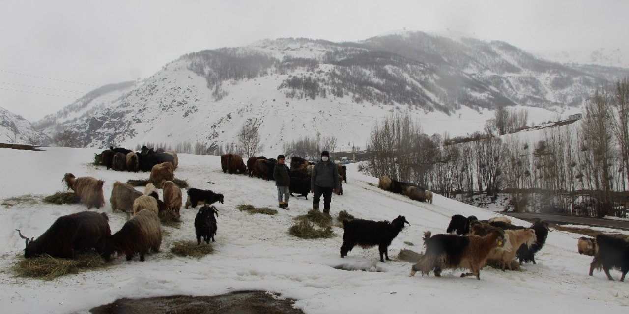 Hayvancılıkla Uğraşanlar, Kışın Zorlu Kısmını Geride Bıraktı