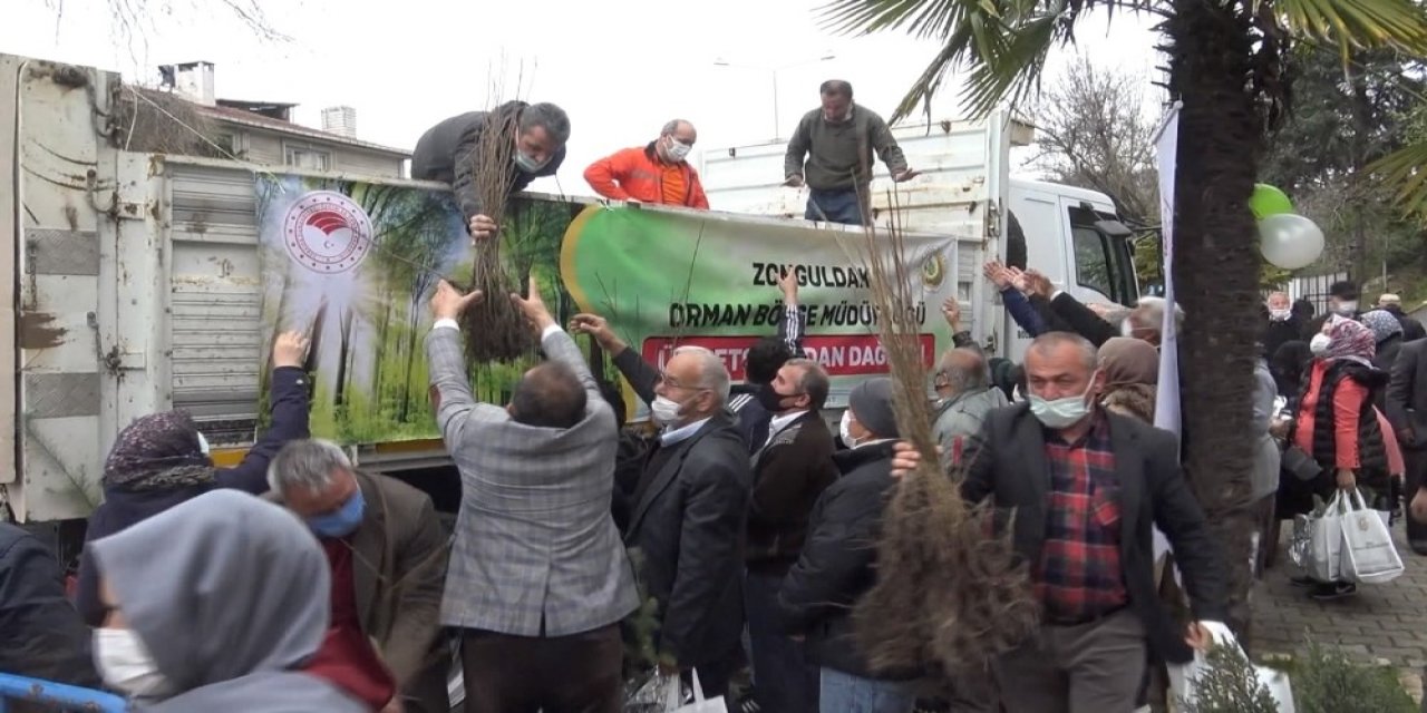 65 Bin Fidan Dağıtıldı