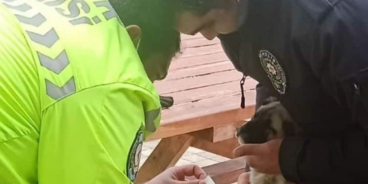 Yaralı Köpeğe Polis Şefkati