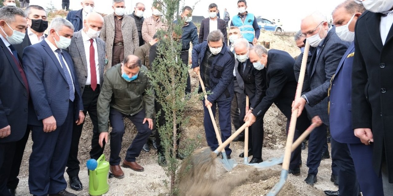 Tobb’dan Belen’deki Yangınlarda Zarar Gören Alanlara 31 Bin Fidan