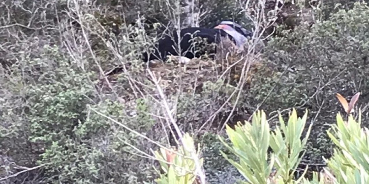 Manavgat’ta Kafası Bedeninden Ayrılmış Erkek Cesedi Bulundu