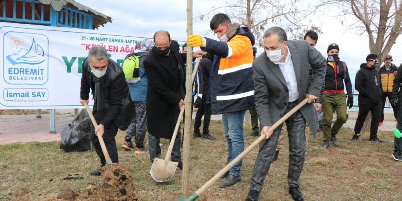 Kesilen Ağaçların Yerine Onlarcası Dikildi