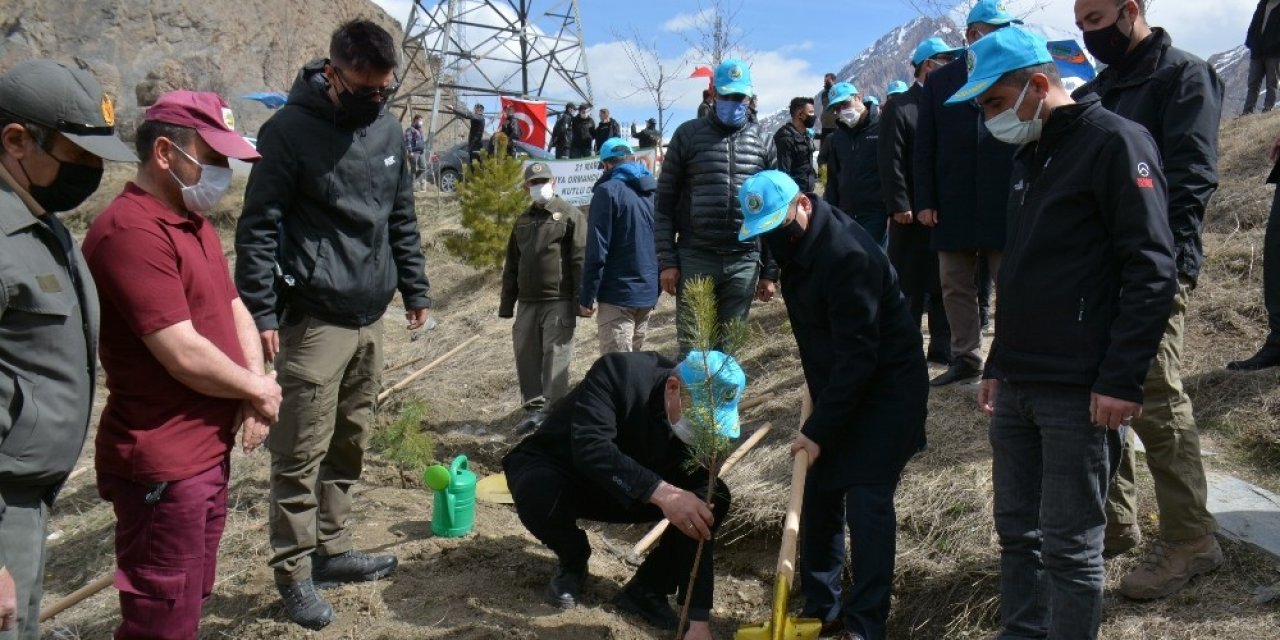 Hakkari’de Bin 500 Fidan Toprakla Buluşturuldu