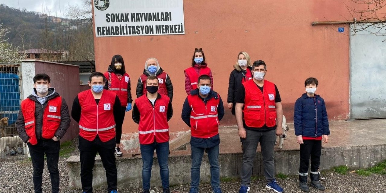 Kızılay Sokak Hayvanlarını Unutmadı