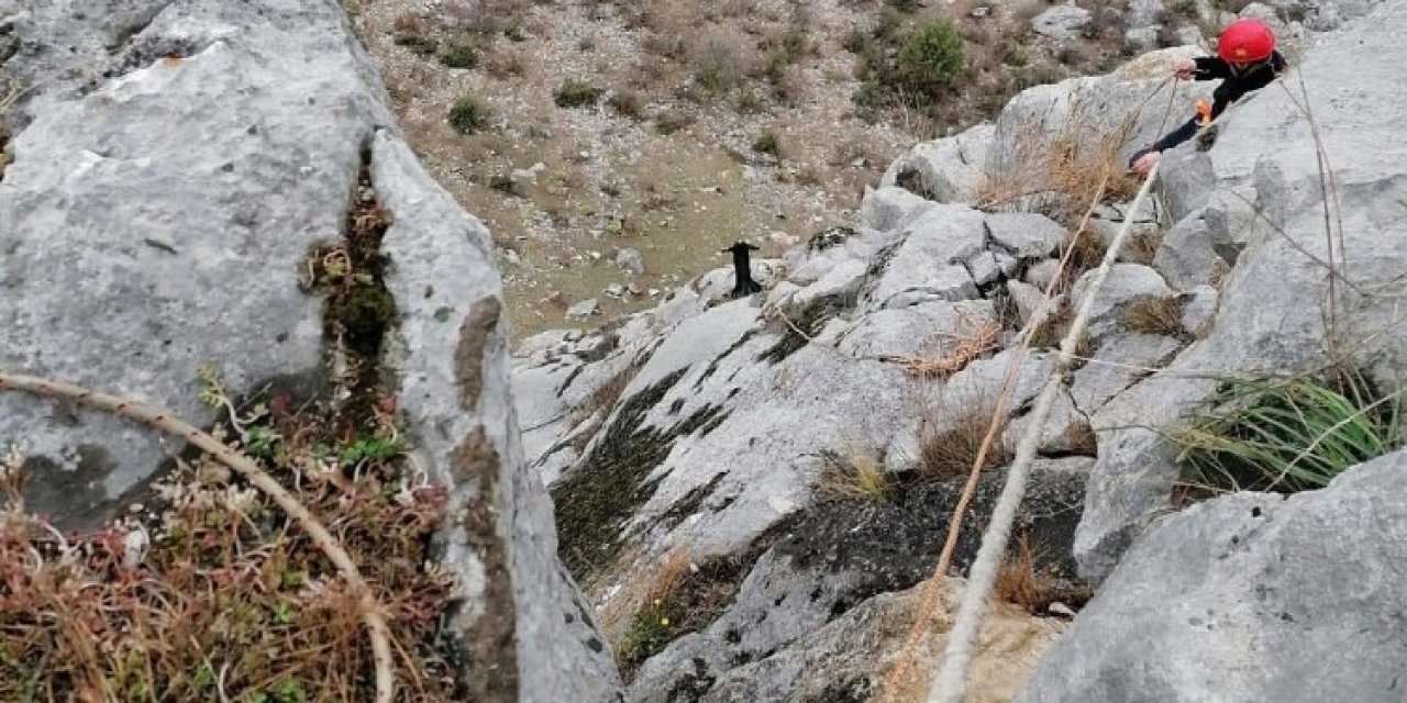 İ̇tfaiye Ekipleri Uçurumda Mahsur Kalan Keçiyi Kurtardı