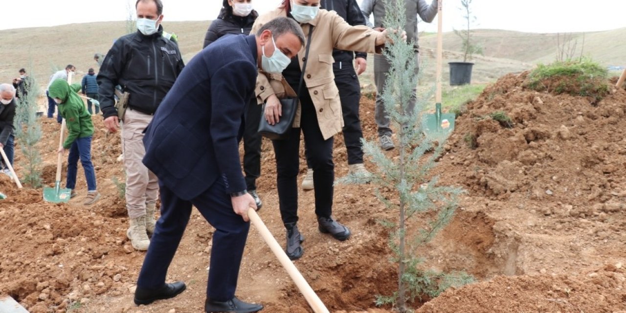 Daha Yeşil Bir Siirt İçin Fidanlar Toprakla Buluştu