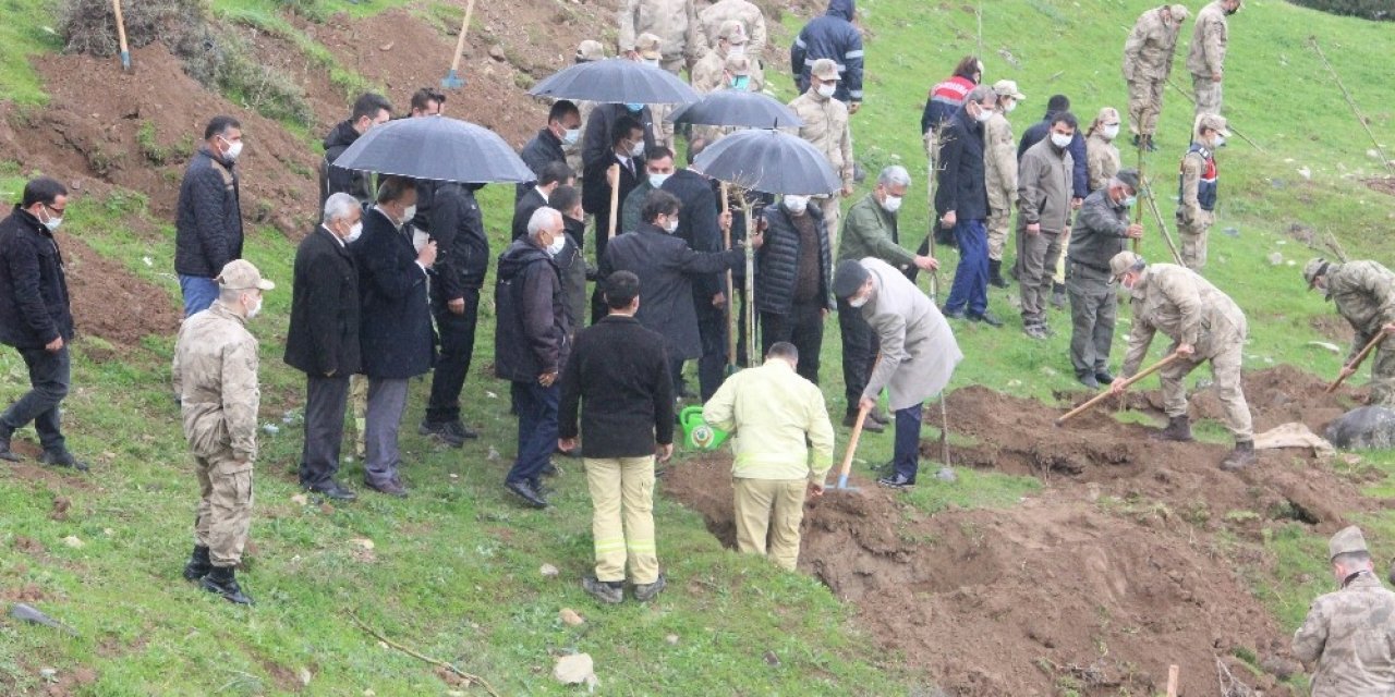 Suriye Sınırında Yağmur Altında Fidanlar Toprakla Buluşturuldu