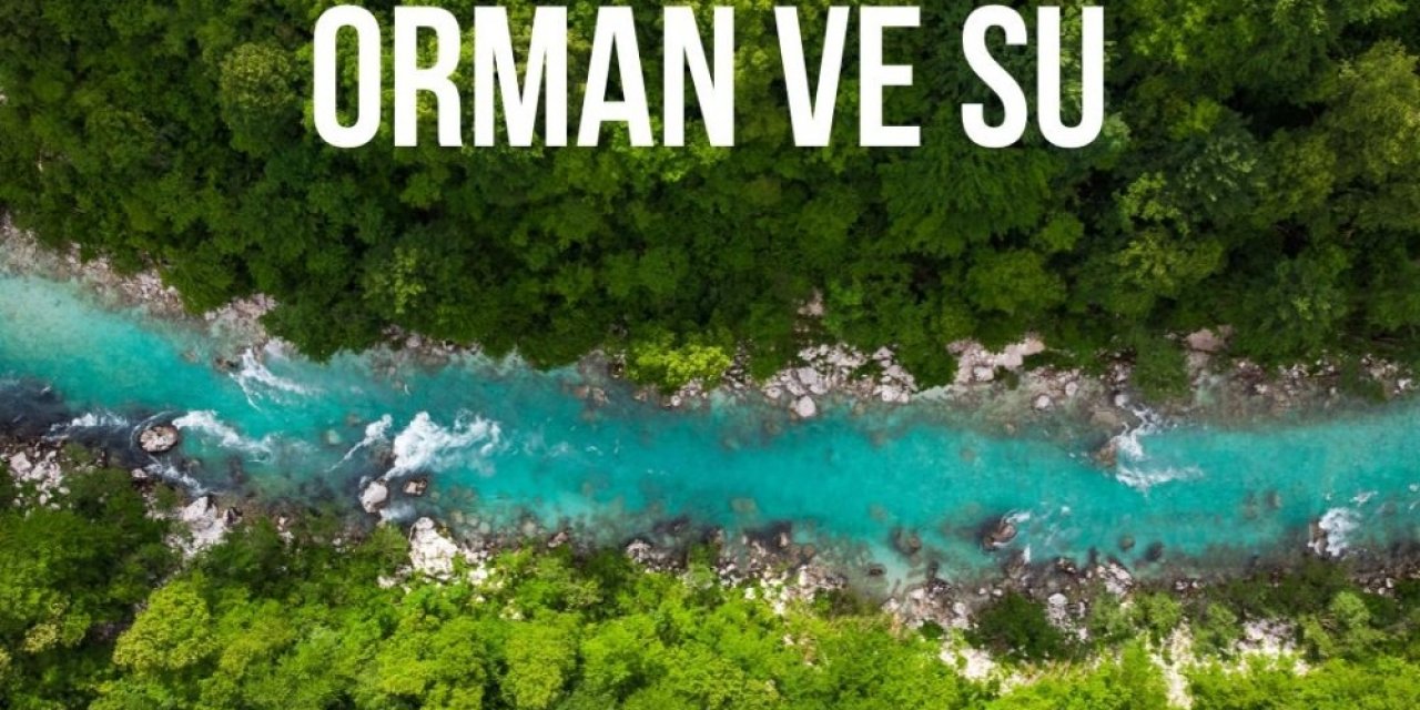 Tema Vakfı Başkanı Deniz Ataç, "ormanların Tahrip Edilmesi Salgınları Beraberinde Getirdi"
