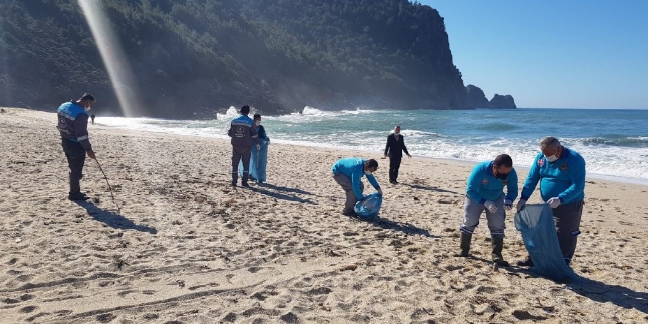 Alanya Sahilleri Temizleniyor
