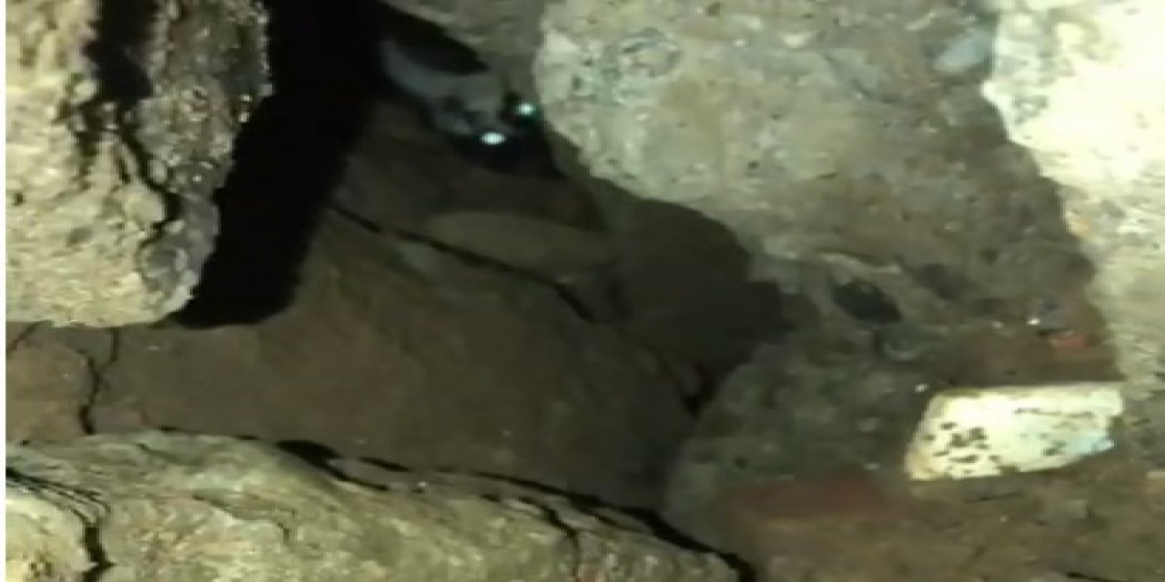 Bingöl’de Moloz Altında Kalan Kedi Kurtarıldı