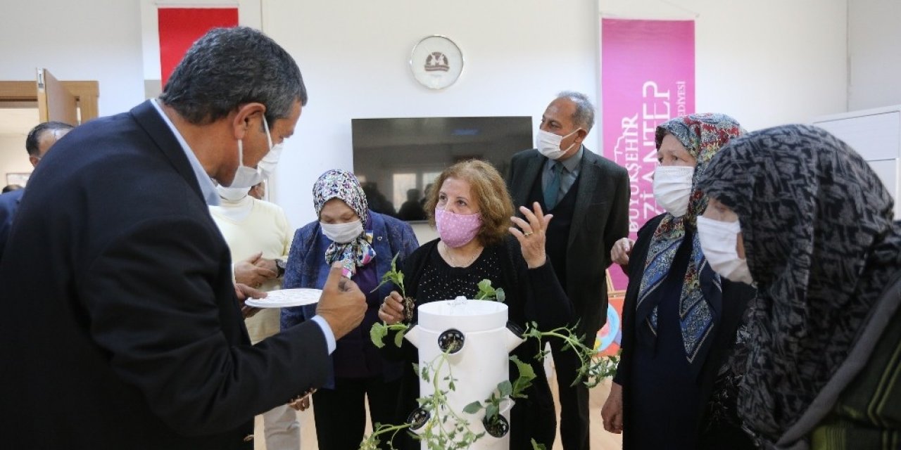 Ulu Çınarlara Yaşlılar Haftasında Anlamlı Hediye