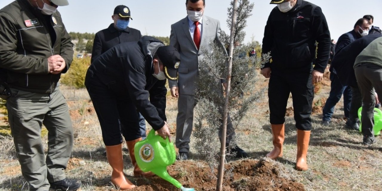 Karaman’da ‘dünya Ormancılık Haftası’ Etkinlikleri