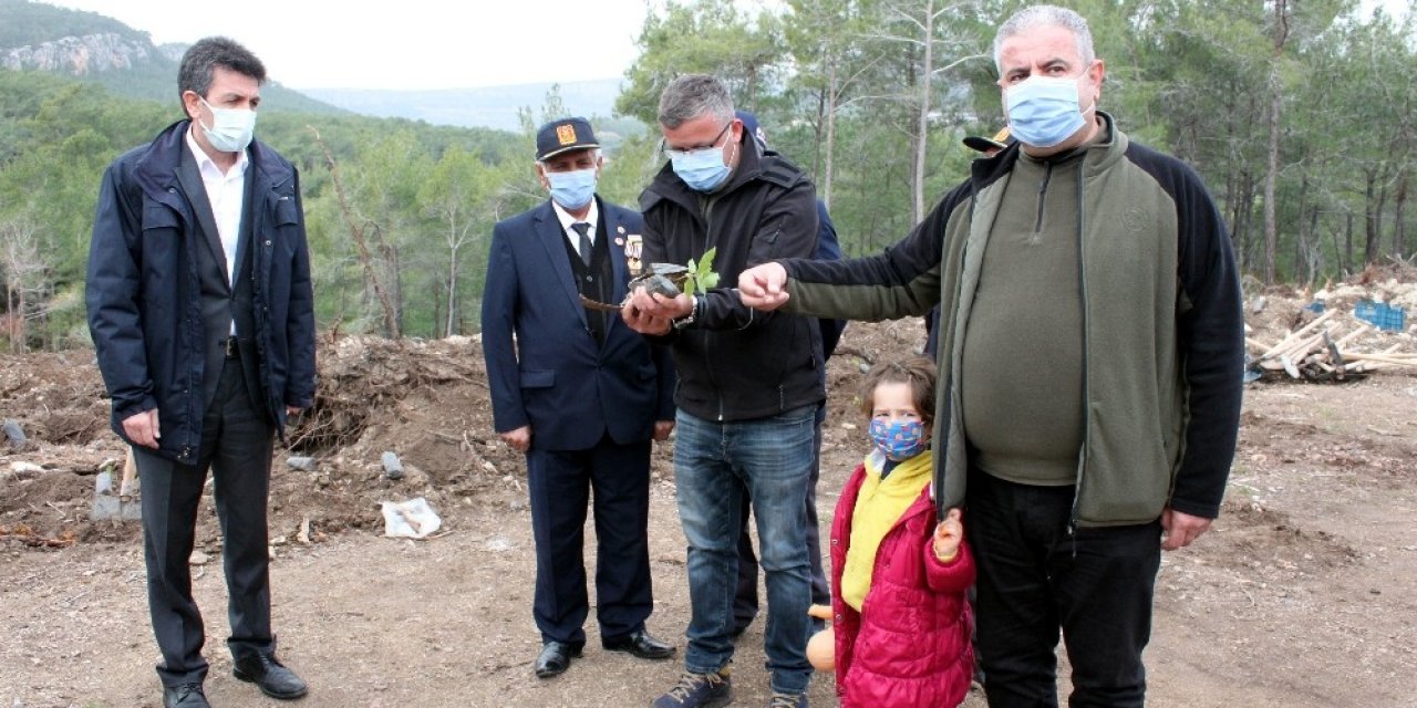 Nükleer Santral Bölgesine Yangına Dayanaklı Fidan