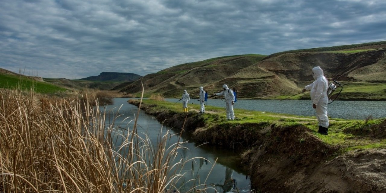 Batman’da Karasinek Ve Sivrisinekle Mücadele Çalışmaları Başladı