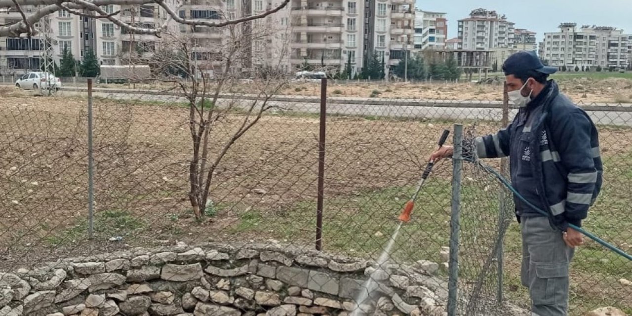 Haşereden Uzak Bir Yaz Mevsimi İçin Çalışılıyor