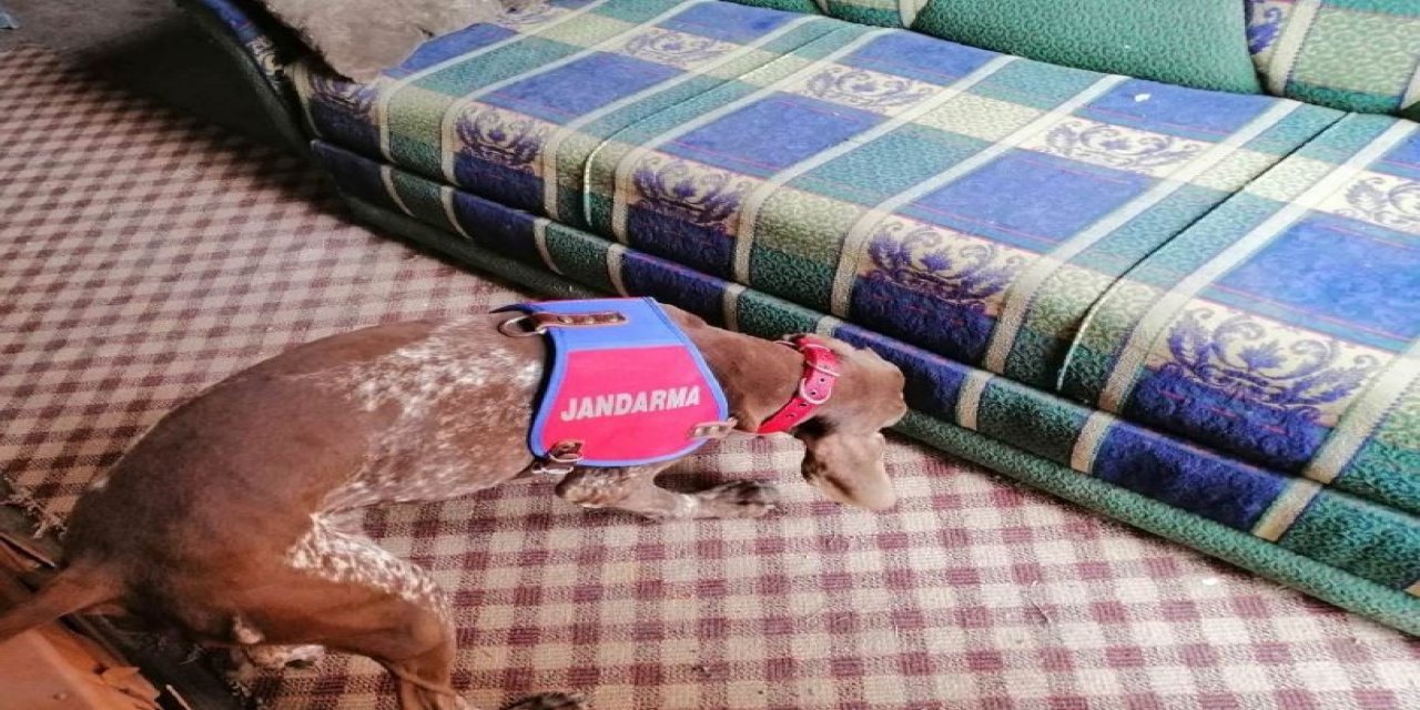 Narkotik Köpeği “radar” Uyuşturucuya Geçit Vermedi