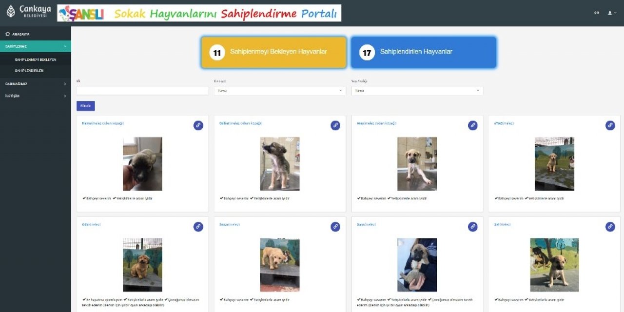Çankaya Belediyesi “sokak Hayvanlarını Sahiplendirme Portalı” Oluşturdu
