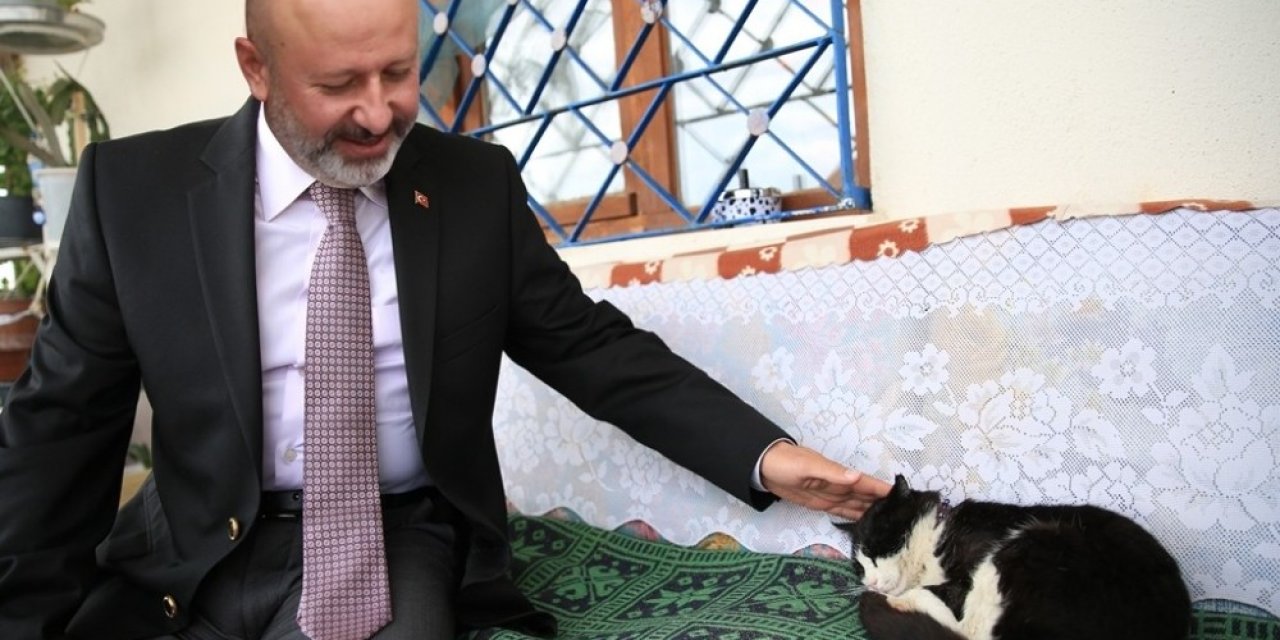 Kocasinan’dan Küçük Dostlara Sıcak Bir Yuva Olacak ‘kedi Kasabası’