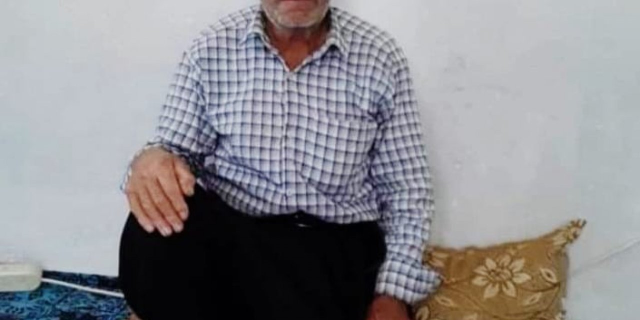 Hastaneye Giderken Otomobilin Çarptığı Yaşlı Adam Hayatını Kaybetti