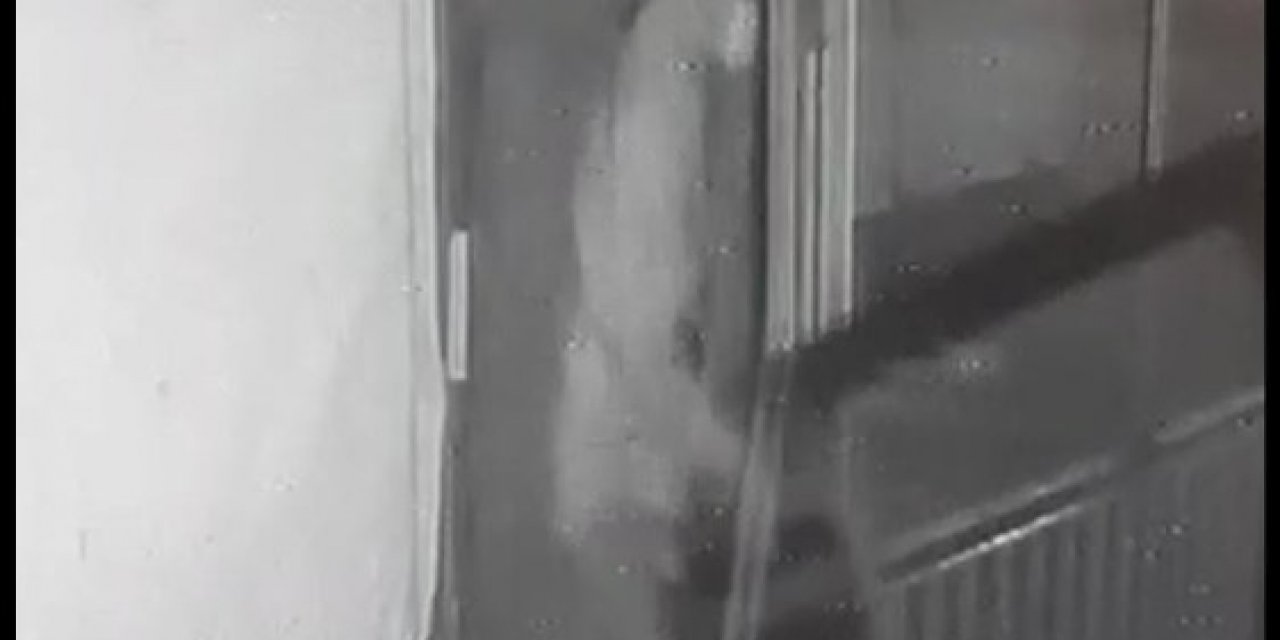 Ağrı’da Bisiklet Ve Kapı Çalan Zanlı Tutuklandı