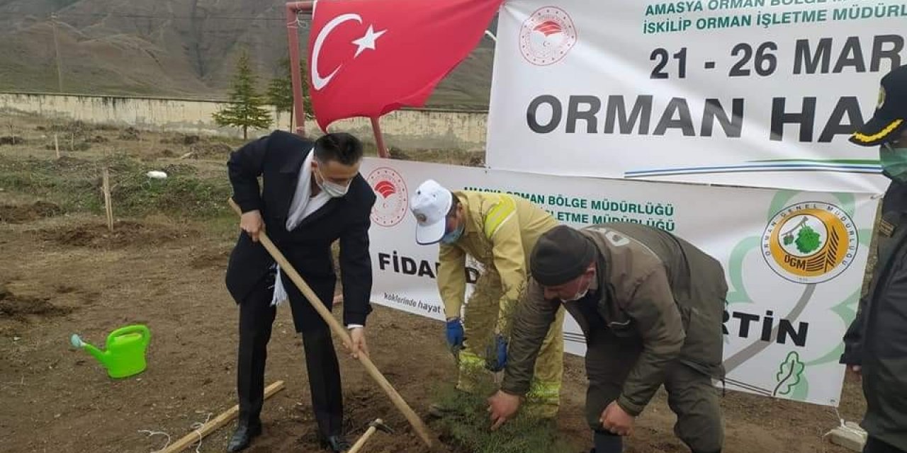 İ̇skilip’te 500 Fidan Toprakla Buluşturuldu