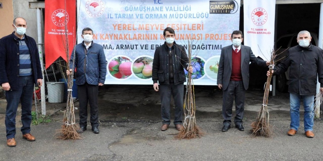 Gümüşhane’de Üreticilere 4 Bin Adet Yerli Meyve Fidanı Dağıtıldı