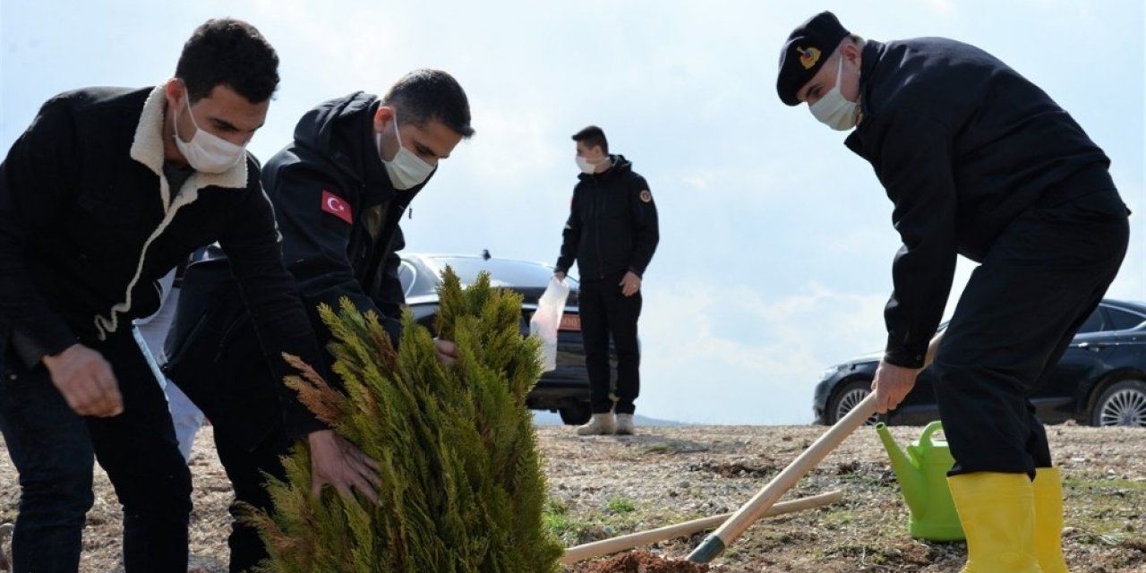 Trafik Kazası Sonrası Yanan Ormanlık Alana 2 Bin Karaçam Ve Sedir Fidanı Ekildi