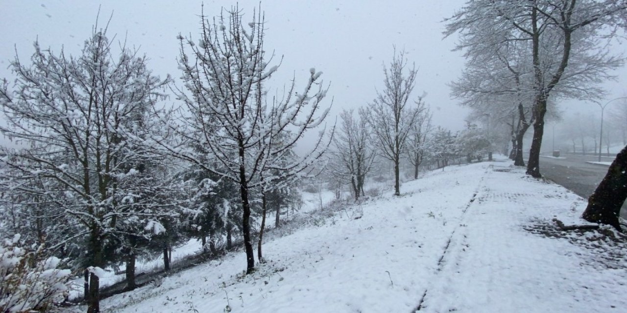 Kar Yağıyı Köy Yollarını Kapadı