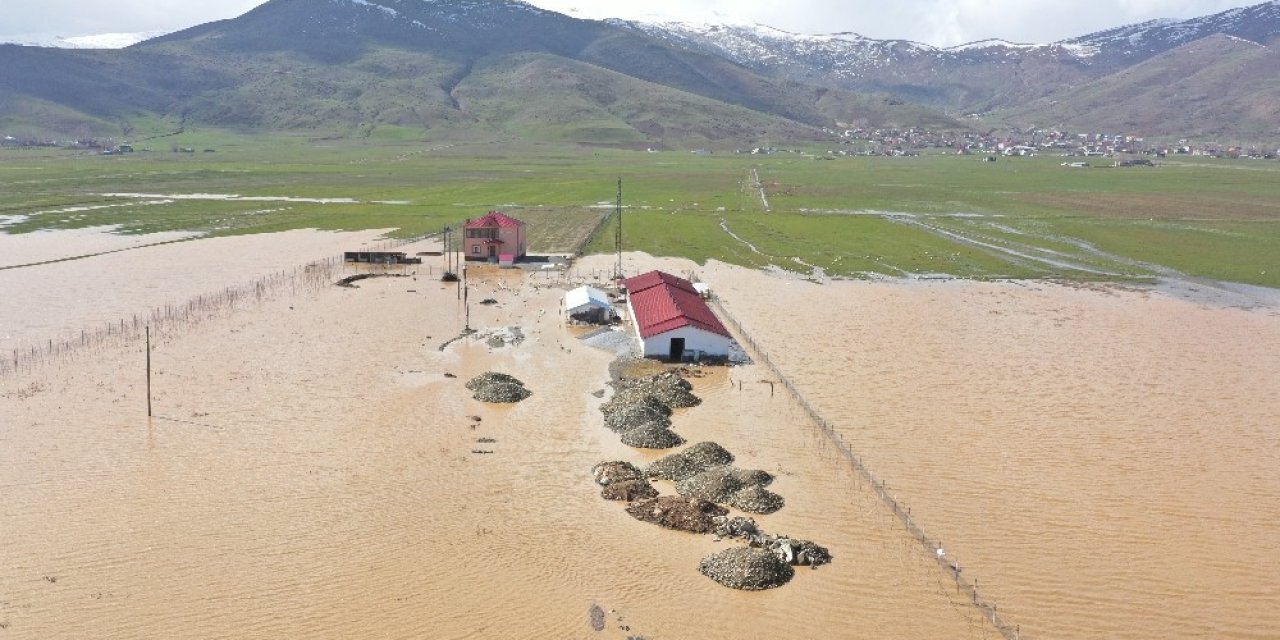 Muş’ta Tarım Arazileri Ve Hayvan Çiftlikleri Su Altında Kaldı